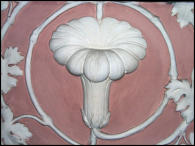 zoccolatura (cardo)