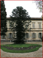Facciata verso il giardino