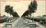 E' una delle prime foto scattate al viale. Si intravedono le rotaie del tramway che collegava Torino a Saluzzo, gli alberi sono appena stati piantati, (si vedono i paletti di sostegno), si notano i passaggi pedonali a fianco degli alberi, la campagna tutt