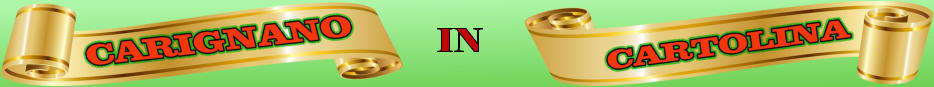 IN
